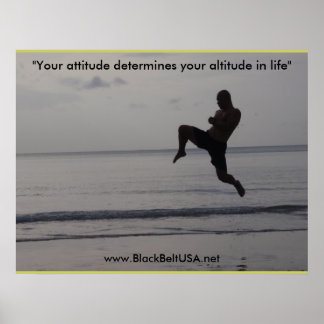 Black Belt USA Poster1 Poster