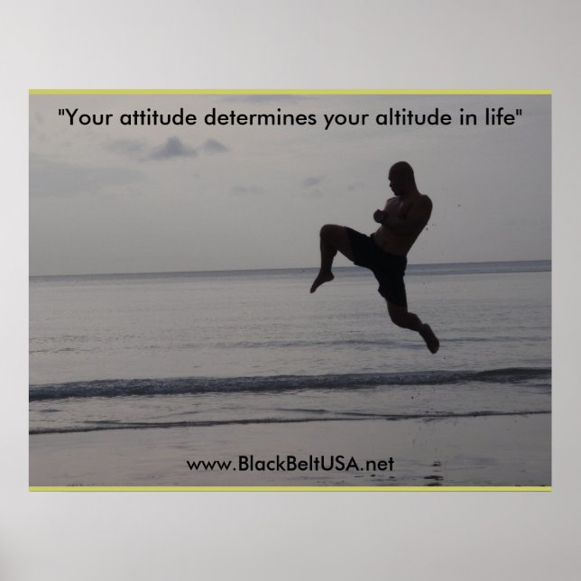 Black Belt USA Poster1 Poster (Vorne)