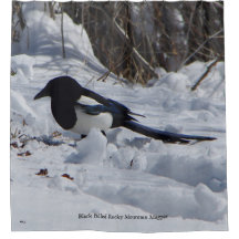 Black Billed Rocky Mountain Magpie Duschvorhang