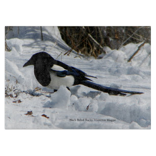 Black Billed Rocky Mountain Magpie Schneidebrett