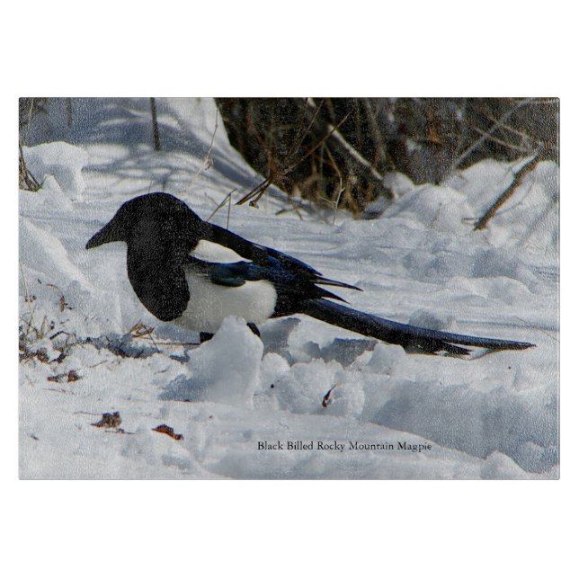 Black Billed Rocky Mountain Magpie Schneidebrett (Vorderseite)