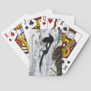 Black Billed Rocky Mountain Magpie Spielkarten