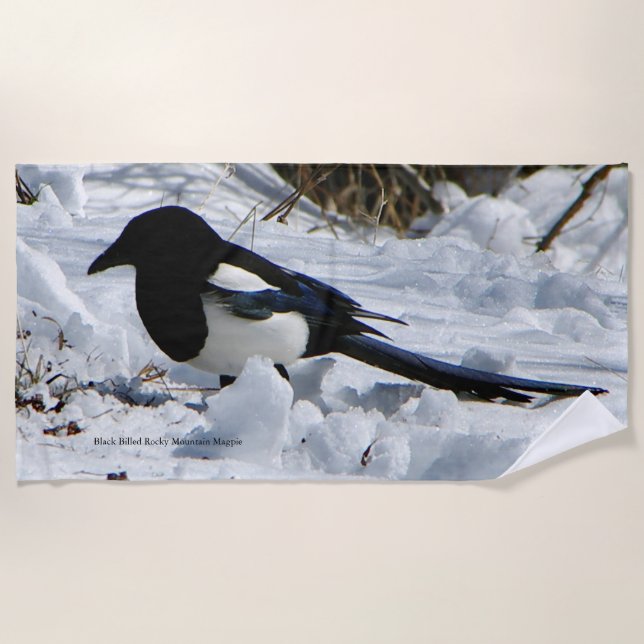 Black Billed Rocky Mountain Magpie Strandtuch (Vorderseite)