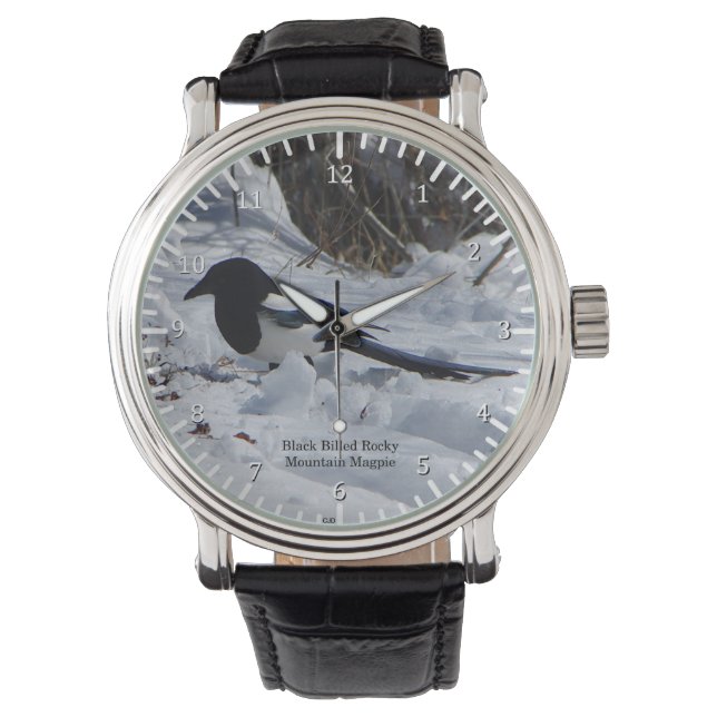 Black Billed Rocky Mountain Magpie Uhr (Vorderseite)