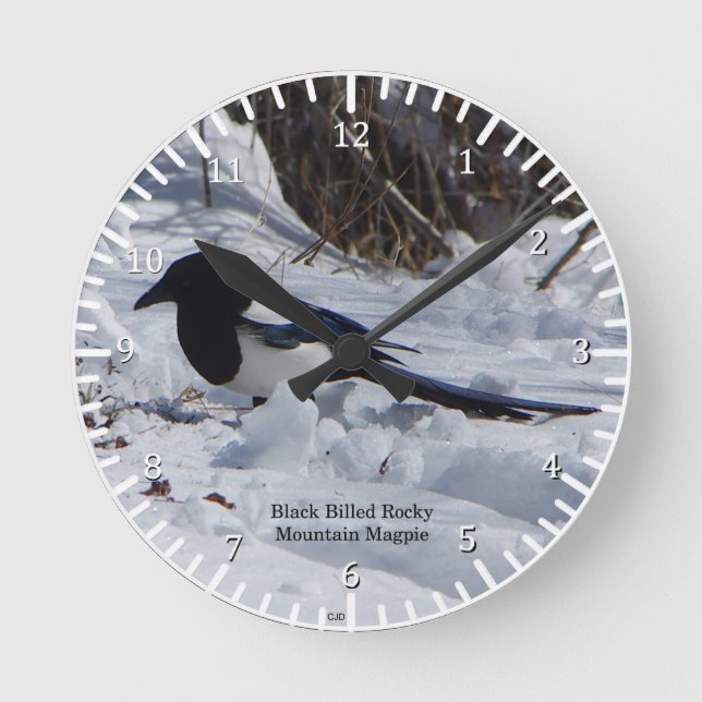 Black Billed Rocky Mountain Magpie Uhr (Vorderseite)