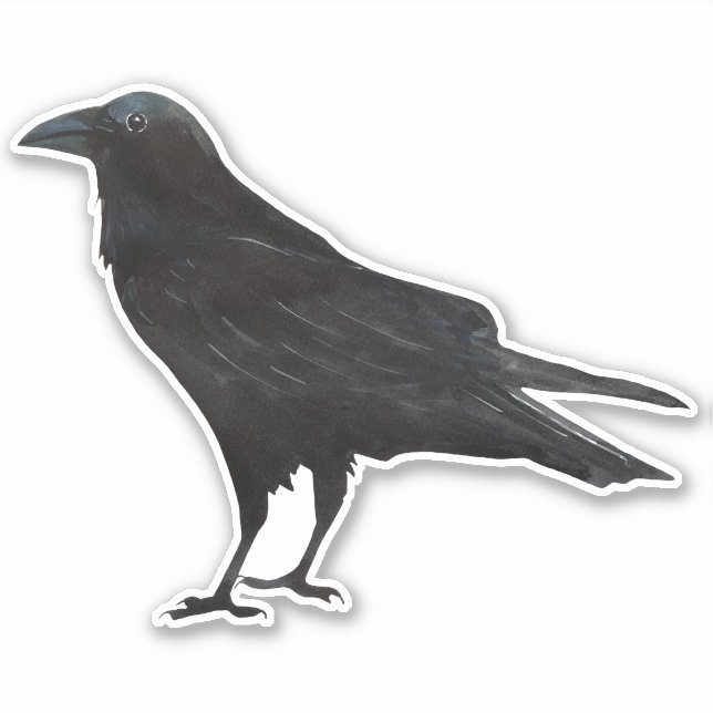 Black Bird Crow Aufkleber (Vorderseite)