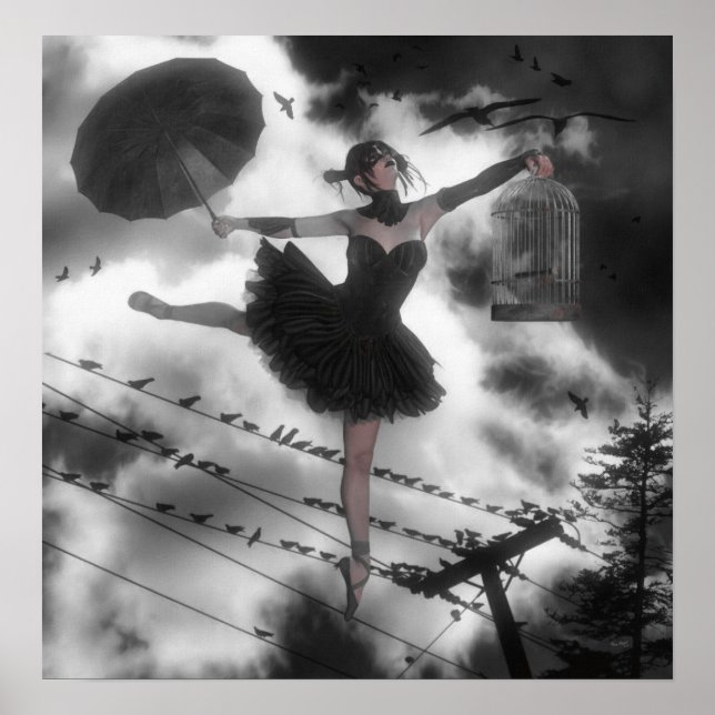 Black Bird Poster (Vorne)