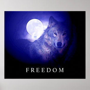 Black Blue Night Freedom Wolf Kopf Fullmoon Poster