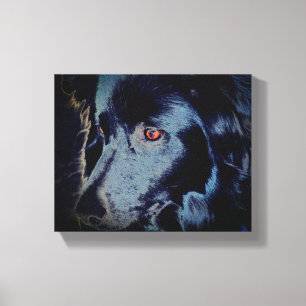 Black Border Collie Dog Face Leinwanddruck