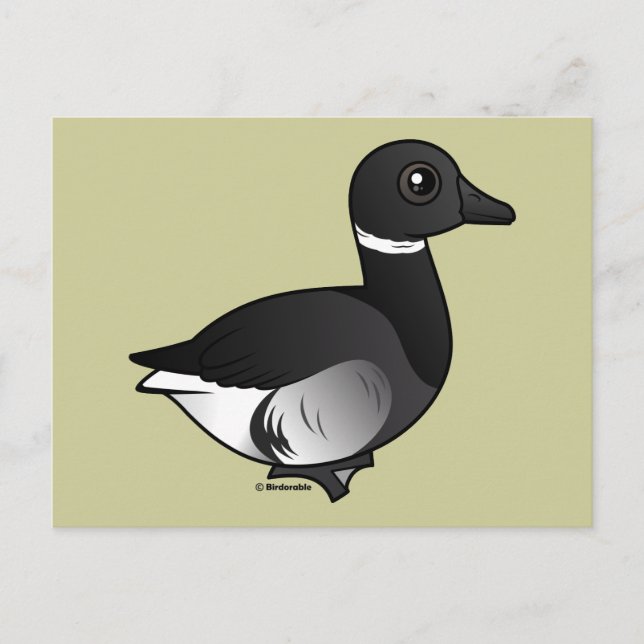 Black Brant Postkarte (Vorderseite)