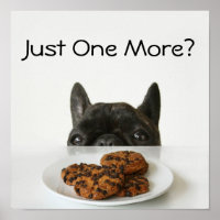Black Brindle French Bulldog