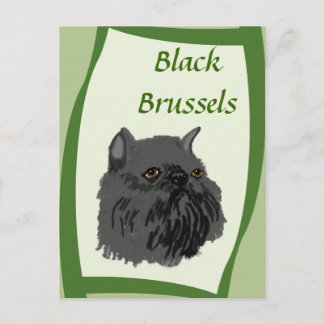 Black Brussels Griffon Postkarte