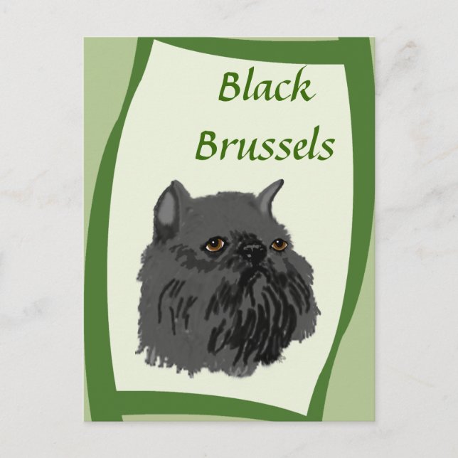 Black Brussels Griffon Postkarte (Vorderseite)