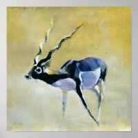 Black Buck Velavadar 1997