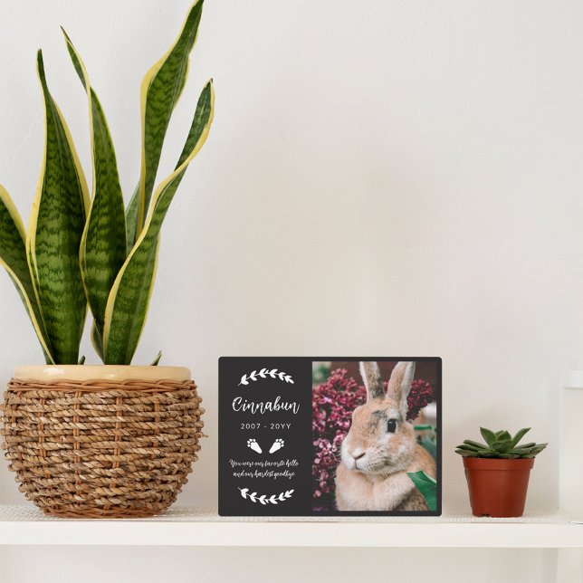 Black Bunny Paws Greenerity Foto Rabbit Memorial Fotoplatte (Von Creator hochgeladen)