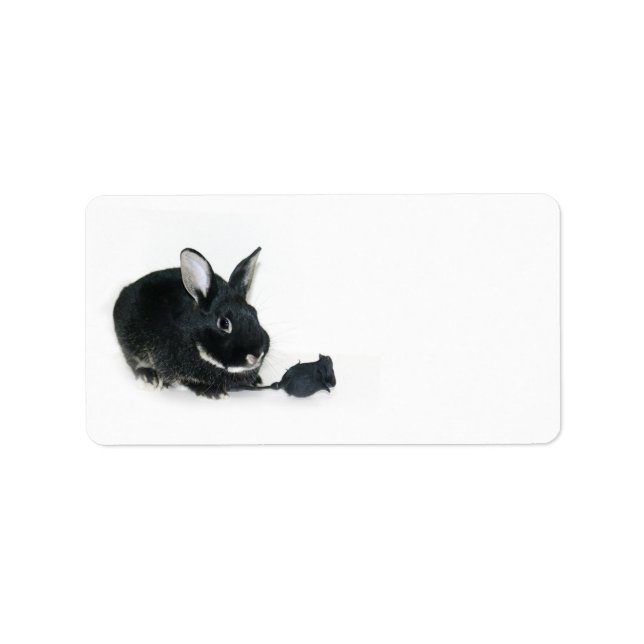Black Bunny Rose Adressaufkleber (Vorne)