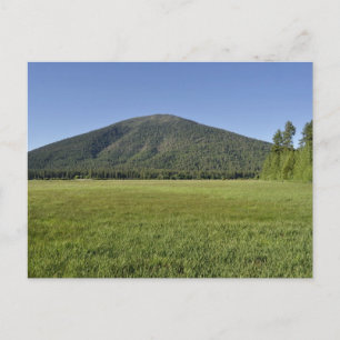 Black Butte Postkarte
