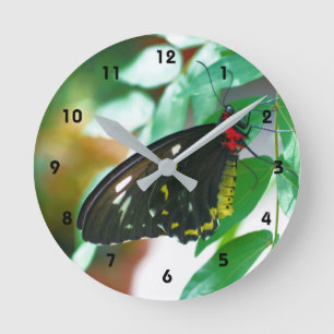 Black Butterfly Nature Runde Wanduhr
