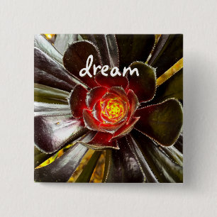 Black Cactus Foto Dream Quote Script Bold Modern Button