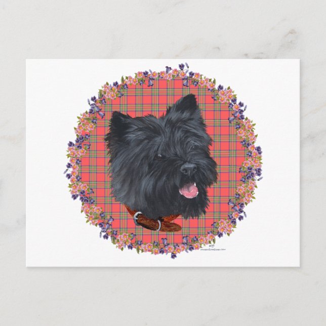 Black Cairn Head Studie Postkarte (Vorderseite)