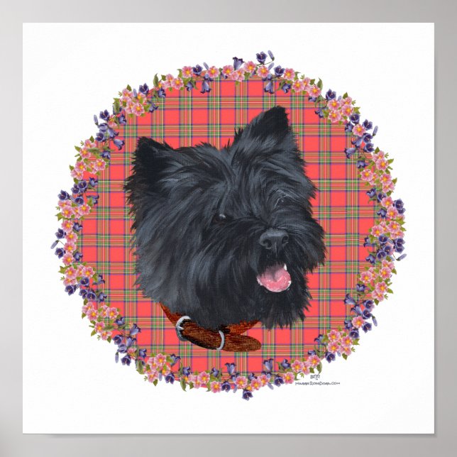 Black Cairn Head Study Poster (Vorne)