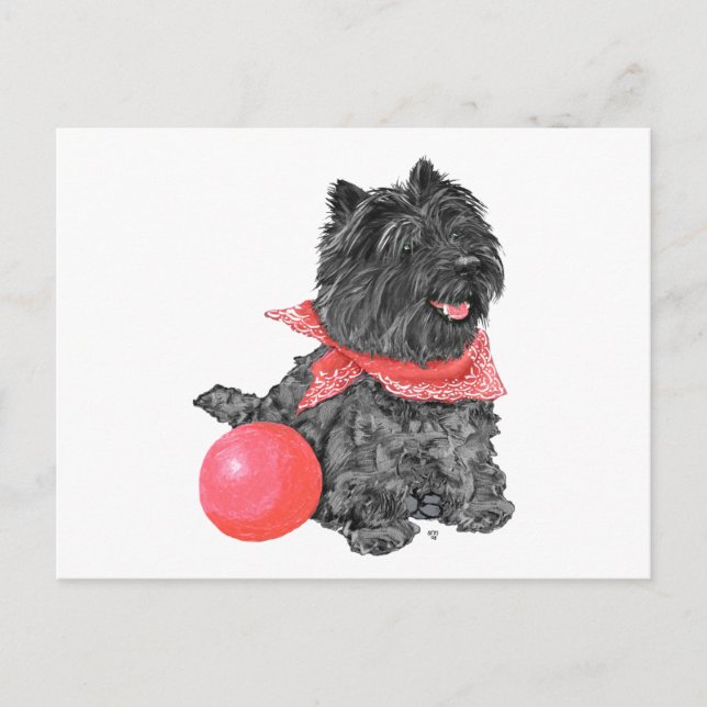 Black Cairn Terrier mit Ball Postkarte (Vorderseite)