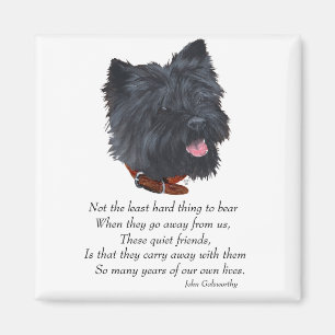 Black Cairn Terrier Rainbow Bridge Magnet
