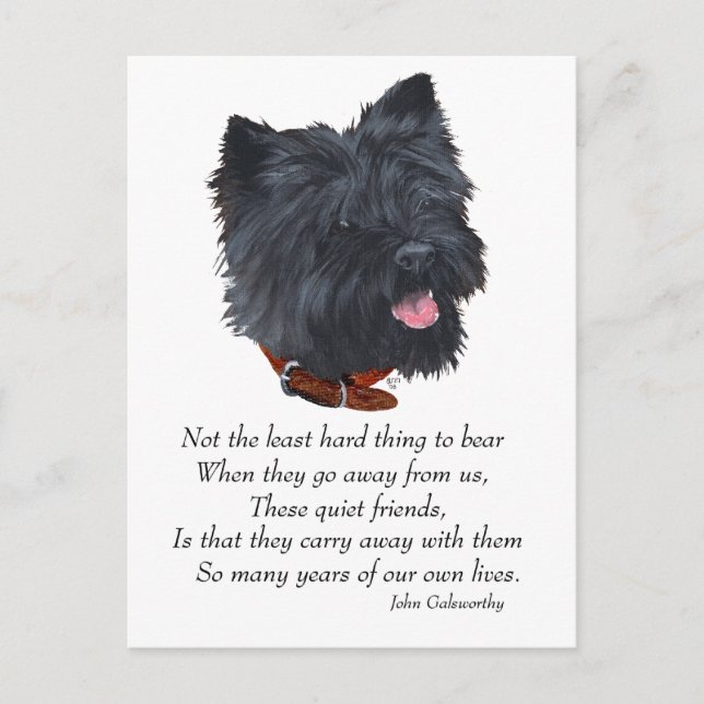 Black Cairn Terrier Rainbow Bridge Postkarte (Vorderseite)
