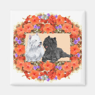 Black Cairn und Westie Terriers im Floral Design Magnet