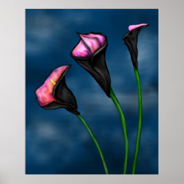 Black Calla Lilies Pink Center Poster