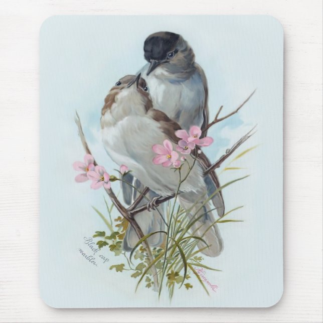 Black Cap Warblers Mousepad (Vorne)