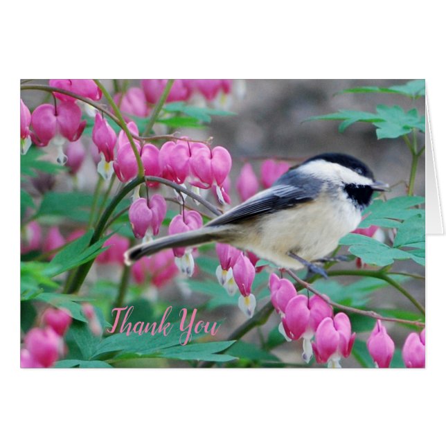 Black Capped Chickadee Grußkarte (Vorderseite (Horizontal))