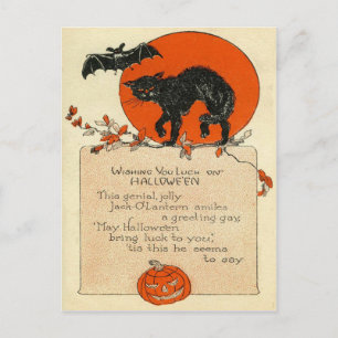 Black Cat Bat Vollmond Postkarte