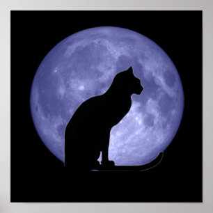 Black Cat Blue Moon Poster drucken