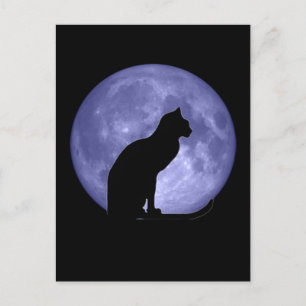 Black Cat Blue Moon Postkarte