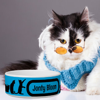 Black Cat Blue Silhouette Pattern With Cat Name Napf