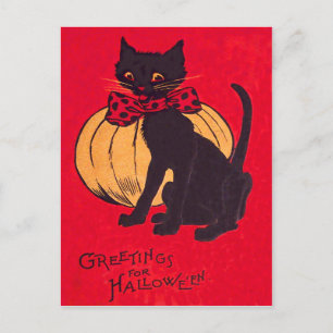 Black Cat Bowtie Pumpkin Vintag Postkarte