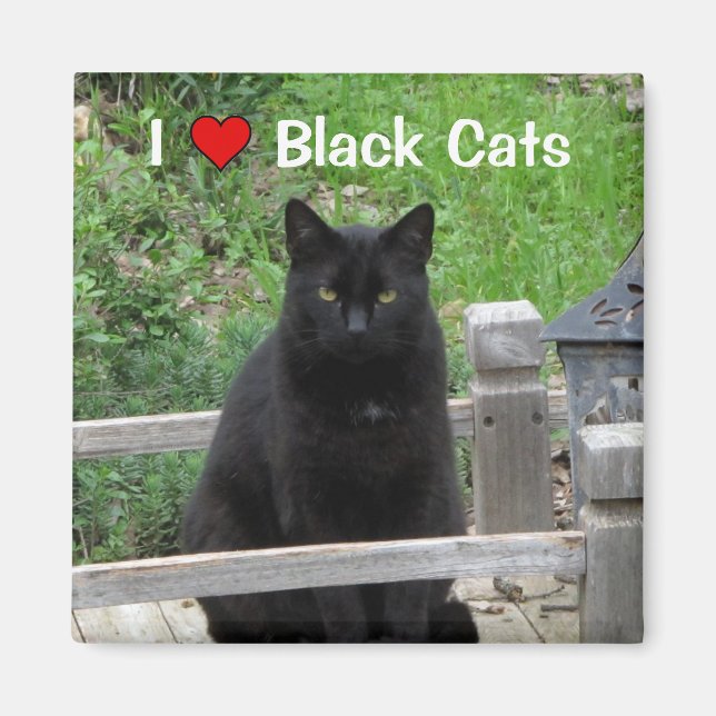 Black Cat Bridge I Liebe Black Cats Magnet (Vorne)