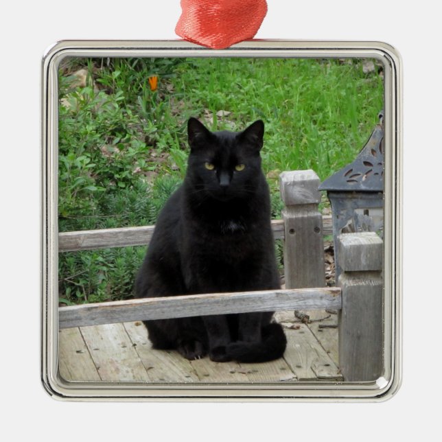 Black Cat Bridge Silbernes Ornament (Vorne)