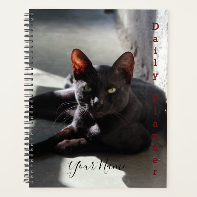 Black Cat - Daily Planner - HAMbWG Planer (Vorderseite)