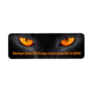 Black Cat Eyes