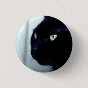Black Cat Face Button