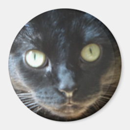 Black Cat Face Magnet