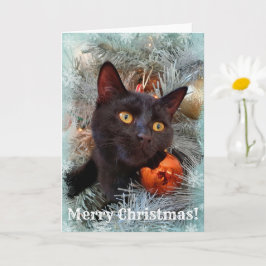 Black Cat Frohe Weihnachten Karte