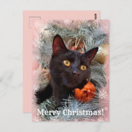Black Cat Frohe Weihnachten Postkarte