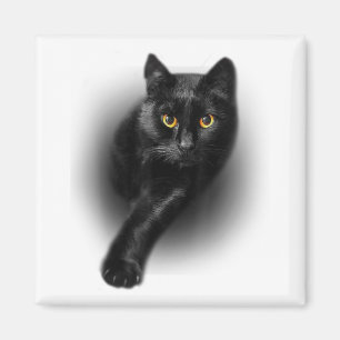 Black Cat Gelbe Augen Katzen T-Shirt gibt Mütter T Magnet