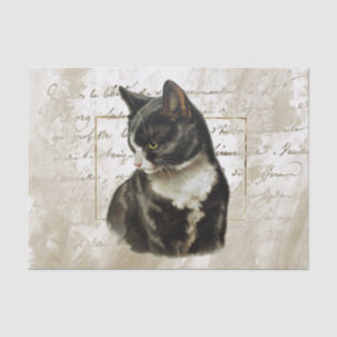 Black Cat Gold French Script Gold Frame Vintag Seidenpapier