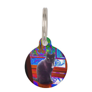 Black Cat Guards eine psychedelische Tür Haustiermarke