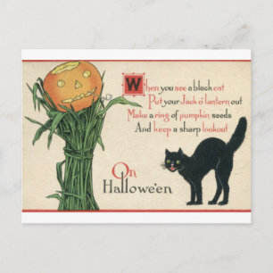 Black Cat Halloween Vintages Gedicht Postkarte
