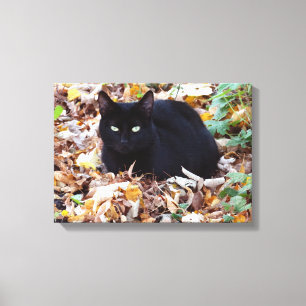 Black Cat Herbst Foto Single Leinwanddruck